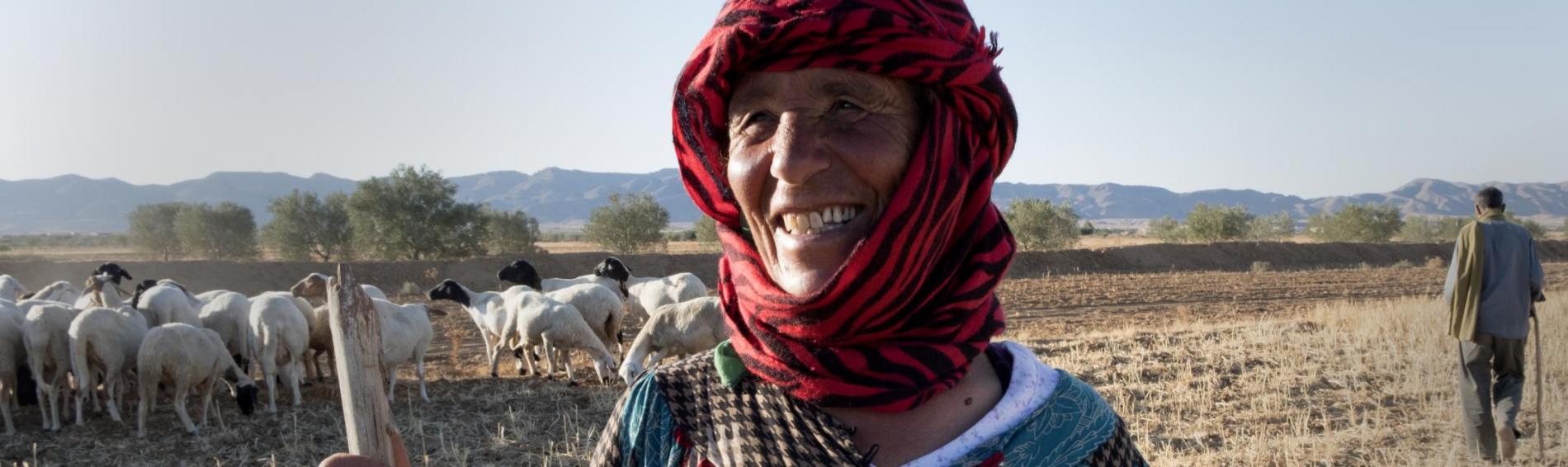 Dans les terres tunisiennes, une dame, protégée du soleil par un turban, sourit à l'objectif. Elle tient un baton à la main et se tient à côté de son troupeau, au milieu d'un champ.
